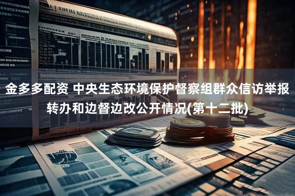 金多多配资 中央生态环境保护督察组群众信访举报转办和边督边改公开情况(第十二批)
