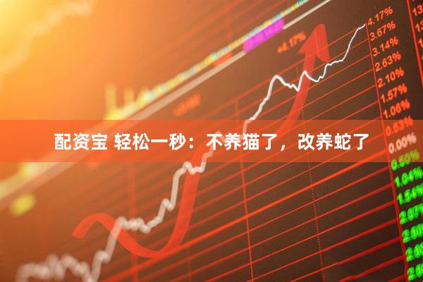 配资宝 轻松一秒：不养猫了，改养蛇了