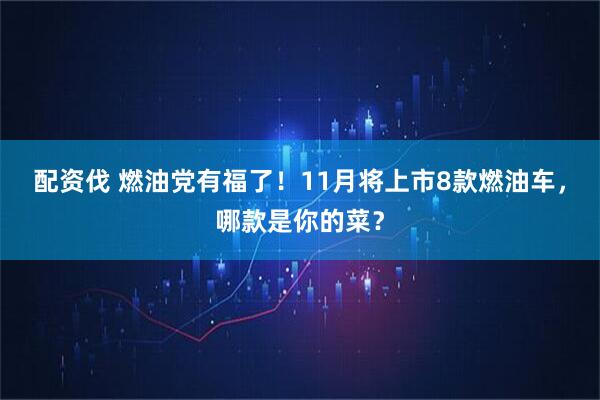 配资伐 燃油党有福了！11月将上市8款燃油车，哪款是你的菜？