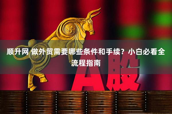 顺升网 做外贸需要哪些条件和手续？小白必看全流程指南